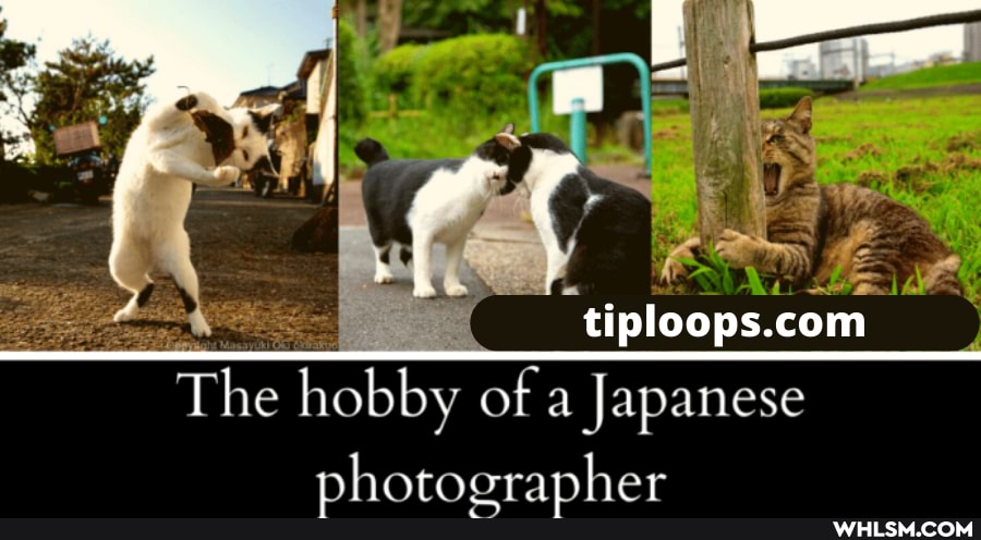 "tiploops com
com
The hobby of a Japanese
nh