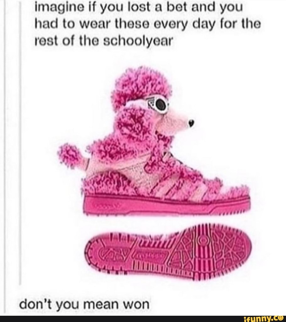 imagine if you lost a bet and you had to wear these every day for the rest of the schoolyear
fin
don't you mean won