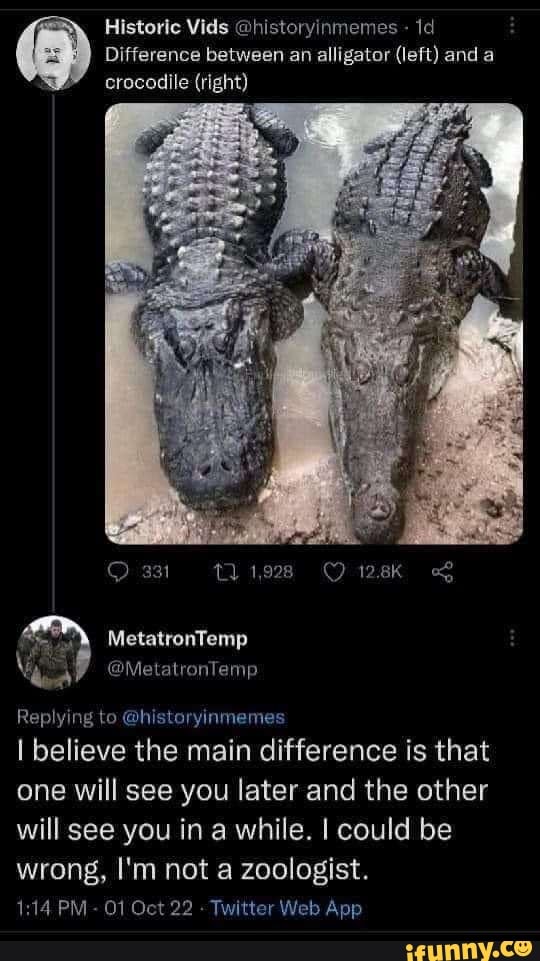 historic-vids-historyinmemes-difference-between-an-alligator-left