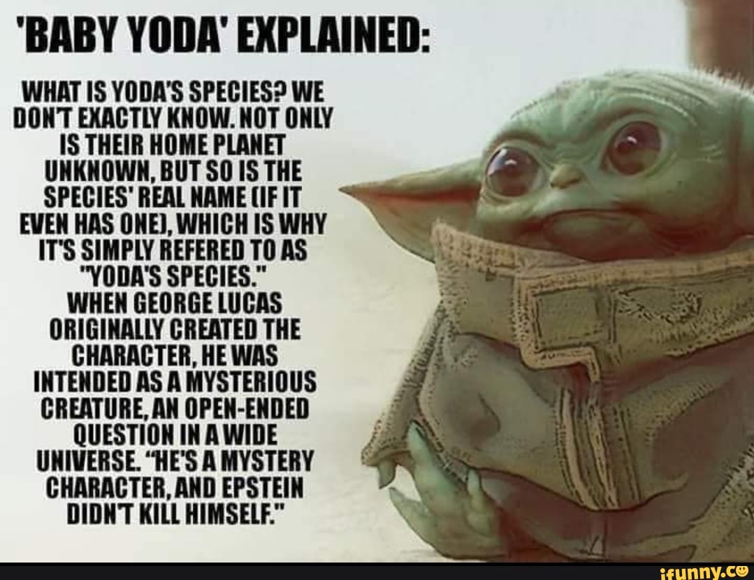 'BABY YODA' EXPLAINED WHAT IS YODA'S SPECIES? WE DON'T EXACTLY KNOW