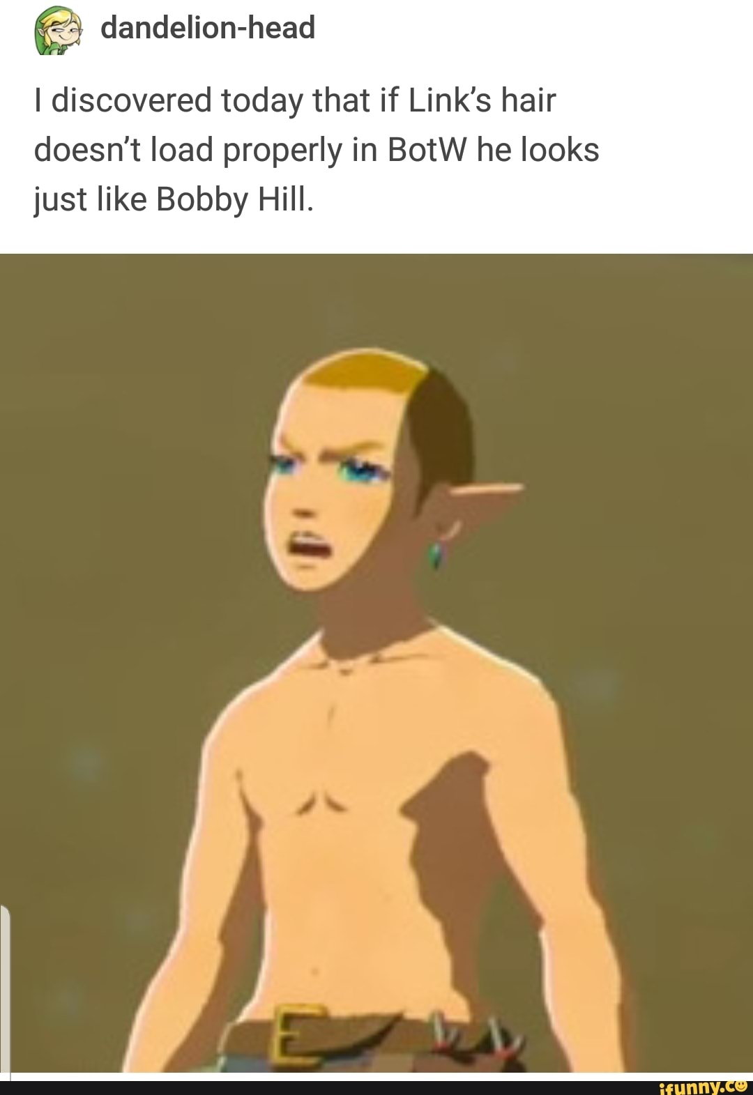 I Discovered Today That If Link S Hair Doesn T Load Properly In Botw He Looks Just Like Bobby Hill Ifunny