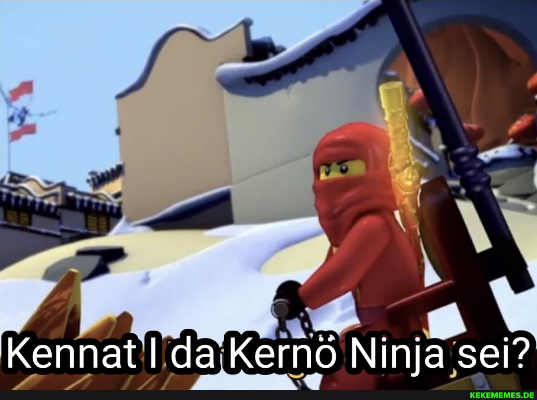Ninja 'sei?