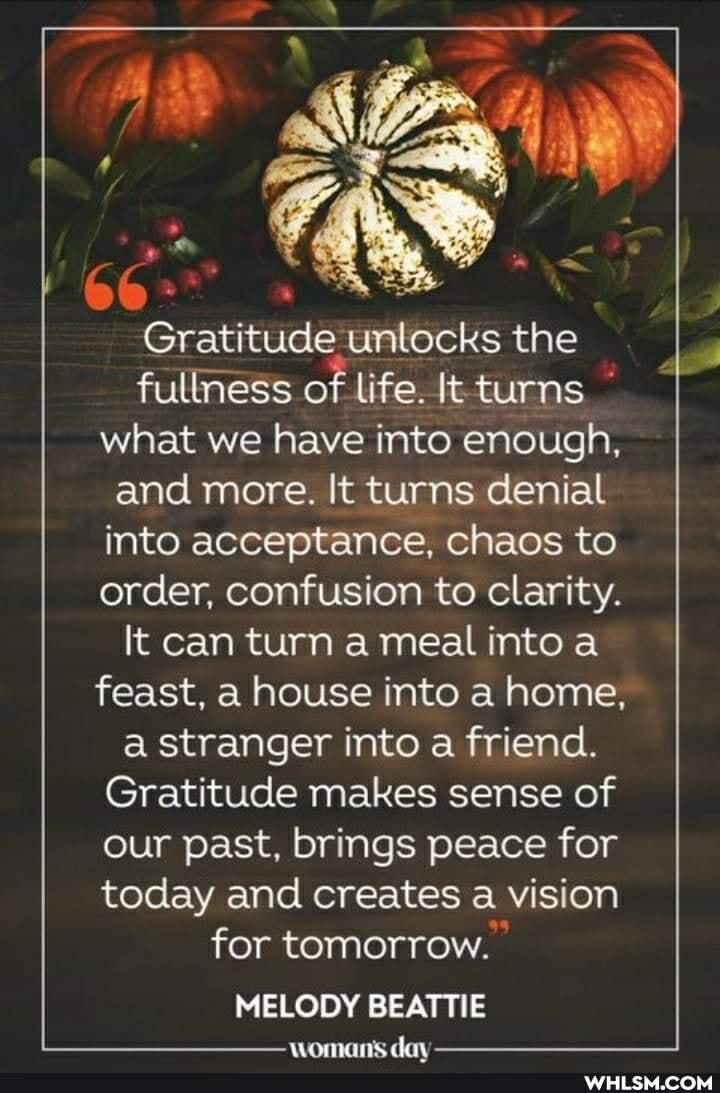 Gratitude unlocks the fullness of life. It turns what we have into enough,
and more. It turns denial into acceptance, chaos to order, confusion to clarity.
It can turn a meal into a feast, a house into a home,
a stranger into a friend.
Gratitude makes sense of our past, brings peace for today and creates a vision for tomorrow.
MELODY BEATTIE
iinemnan don: