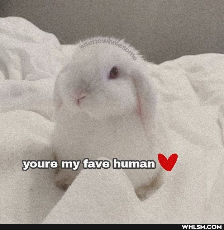 youre my fave human