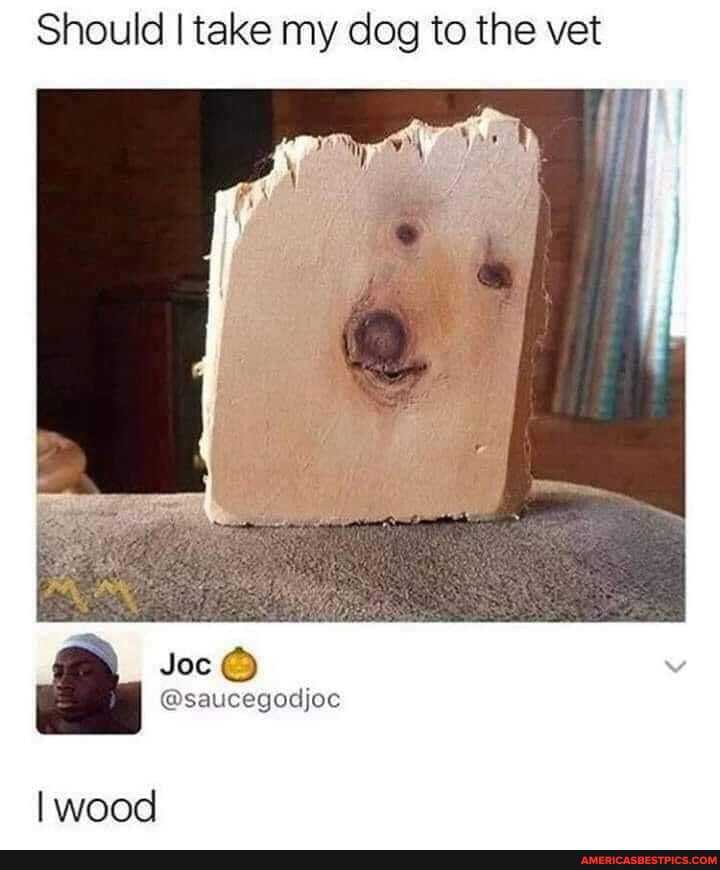 Should I take my dog to the vet
Joc
SAL CUGUCjoc
I wood