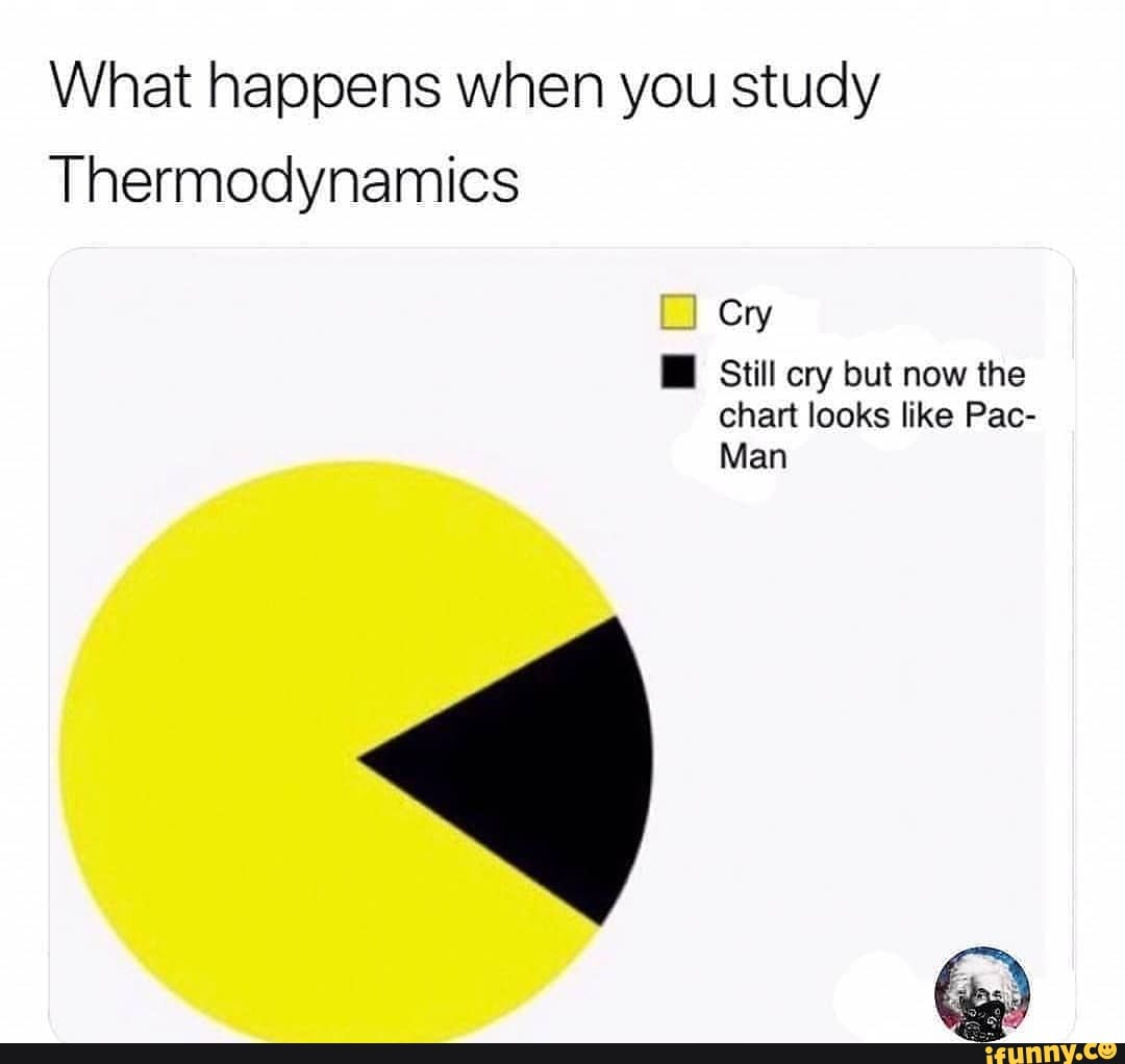 What happens when you study Thermodynamics Cry Still cry but now the