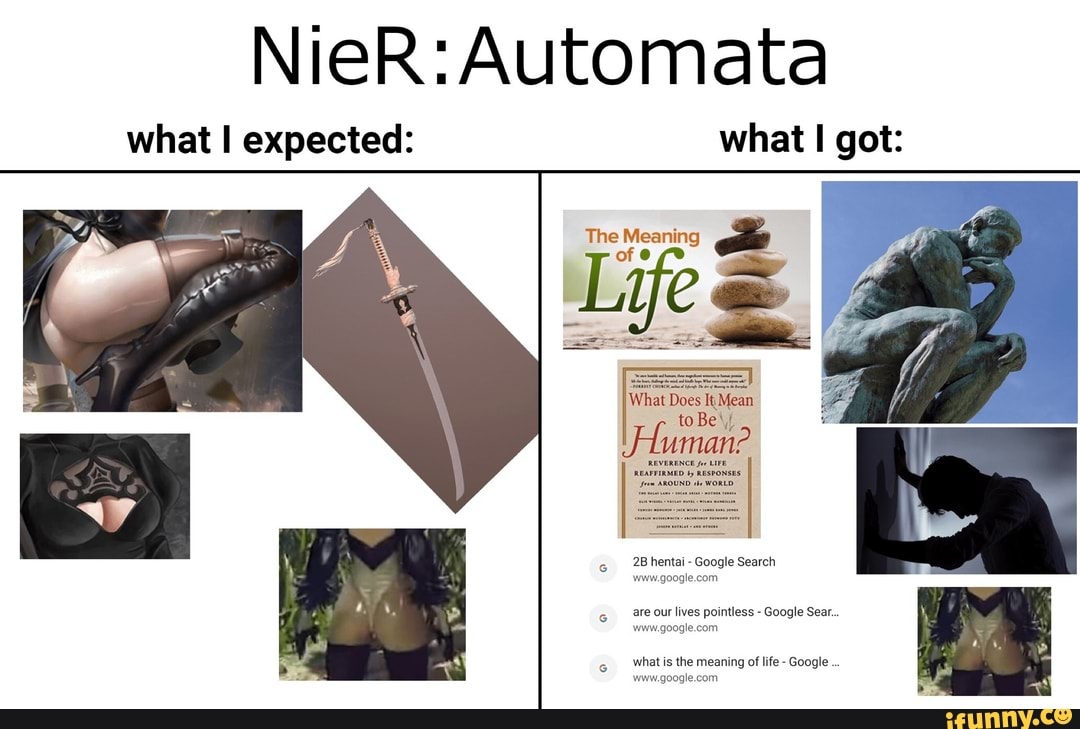 NieR: Automata what I expected: what I got: - iFunny