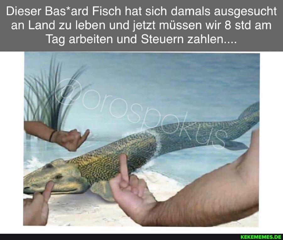 Dieser Bas*ard Fisch hat sich damals ausgesucht an Land zu leben und jetzt müssen wir 8 std am
Tag arbeiten und Steuern zahlen....