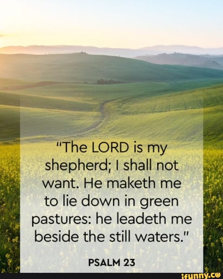 The The LORD Is My Shepherd; I Shall Not Want. He Maketh Me To Lie Down ...