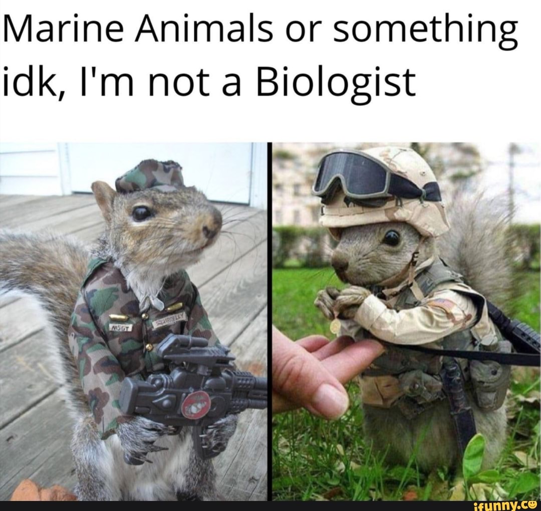 Marine Animals or something
idk, I'm not a Biologist