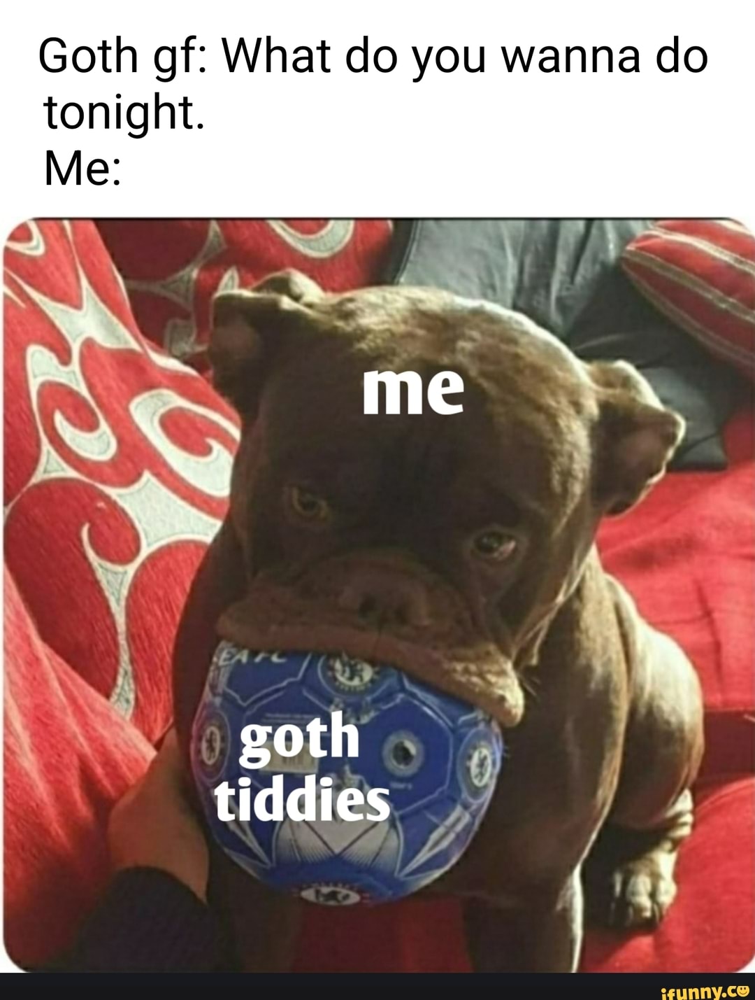 Goth Tiddies