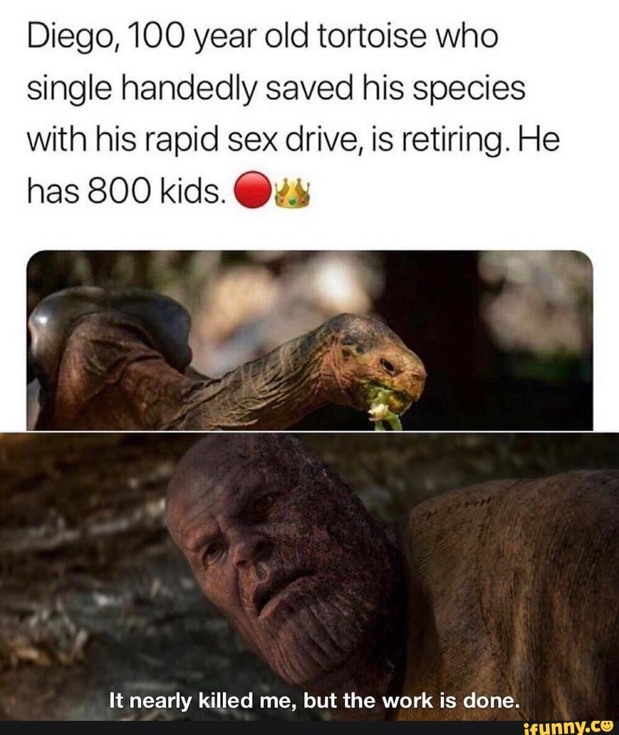 Diego, 100 year old tortoise who single handedly saved his species with his rapid sex drive, is retiring. He has 800 kids. @
It nearlv killed me. but the work is done.