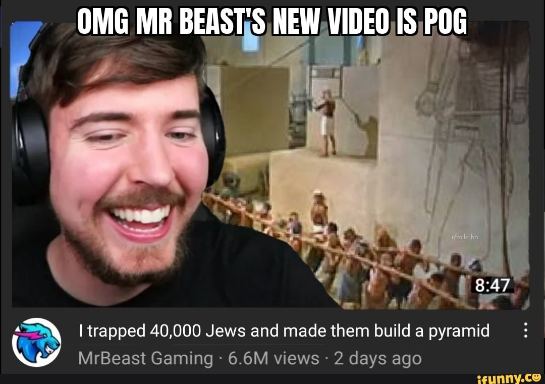 actually got baited by mr beast : r/memes