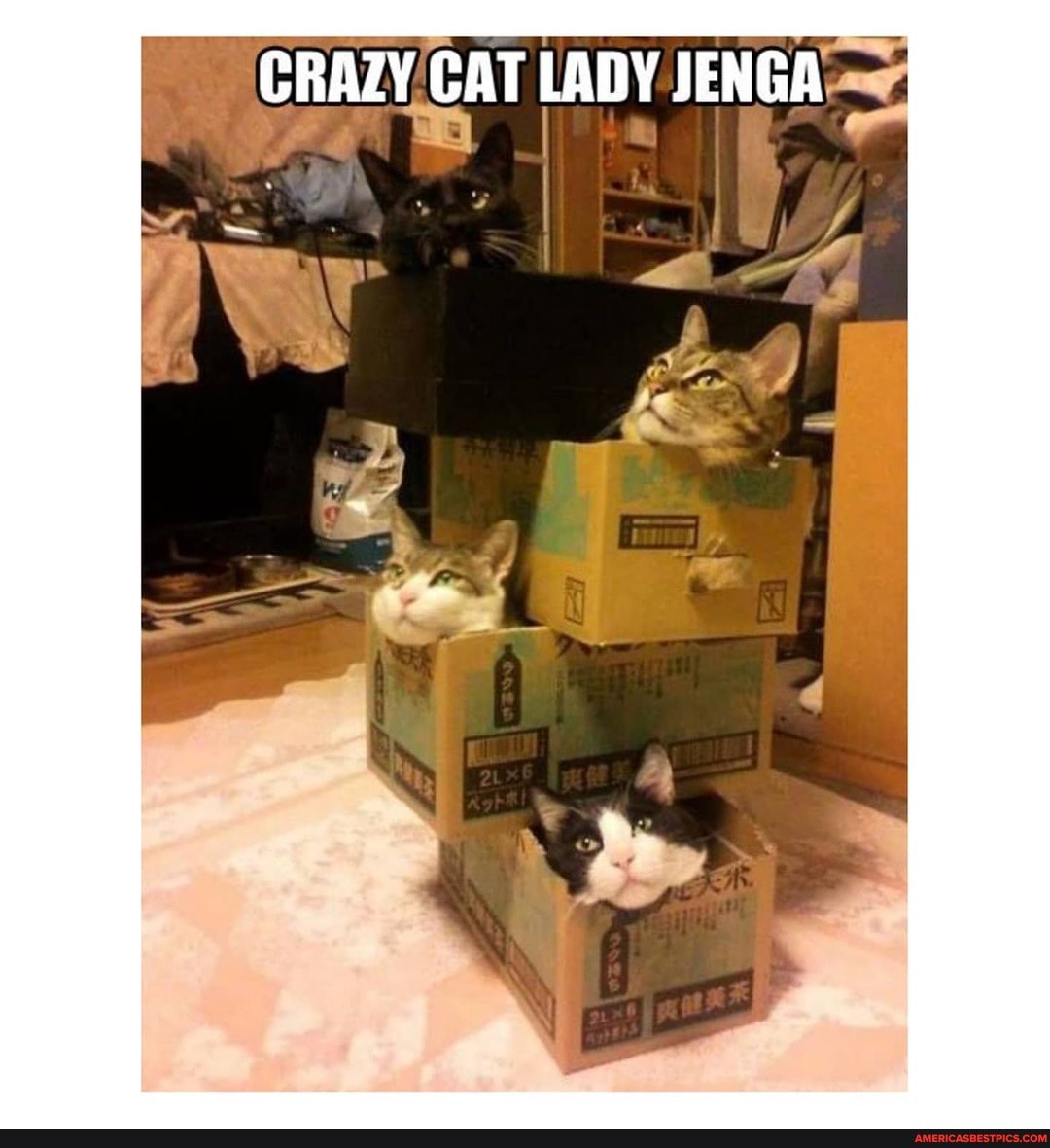 CRAZY CAT LADY JENGA