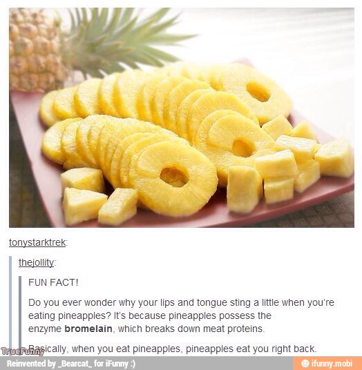 tonystarktrek
I
thejouity
FUN FACT!
Do you ever wonder why your lips and tongue sting
a
little when you're
eating pineapples? It's because pineapples possess the
enzyme bromelain, which breaks down meat proteins.
ically, when you eat pineapples, pineapples eat you right back.