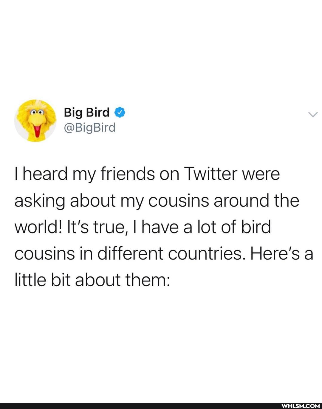 Big Bird @
I heard my friends on Twitter were
asking about my cousins around the
world! It's true, I have a lot of bird
cousins in different countries. Here's a
little bit about them: