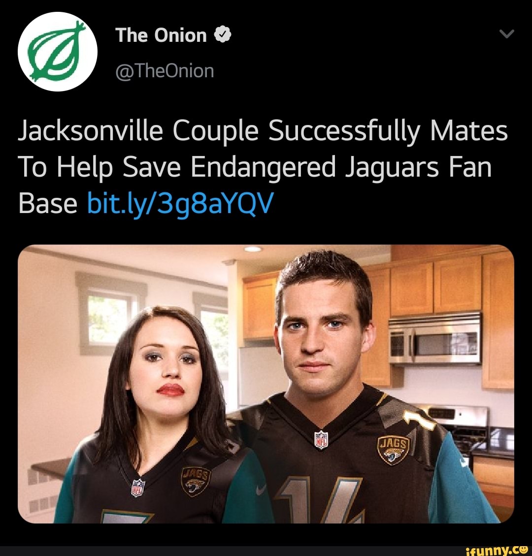 Jacksonville Couple Successfully Mates To Help Save Endangered Jaguars