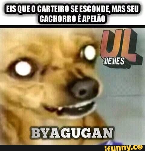 EIS QUE O CARTEIRO SE ESCONDE, MAS SEU CACHORRO É APELÃO
MEMES
'BYAGUGAN