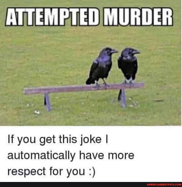 ATTEMPTED MURDER
If you get this joke I
automatically have more respect for you: