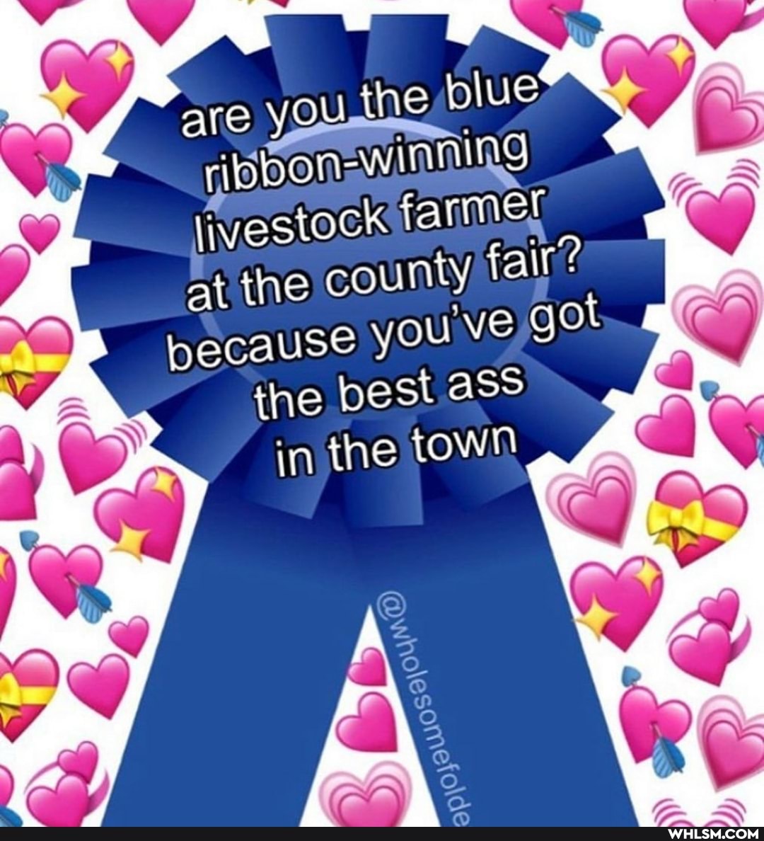 are you the blue ripbon-win ning livestock farmer
At the county fair? because you VE got the best as
in the
is
ONES
are