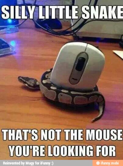 THAT;S NOT THE MOUSE
VOU¡RELOOKING FOR