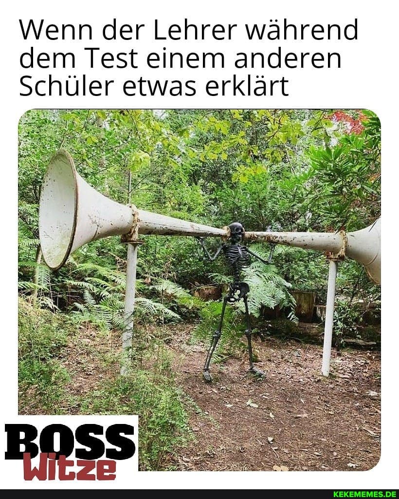 Wenn der Lehrer während dem Test einem anderen
Schüler etwas erklärt