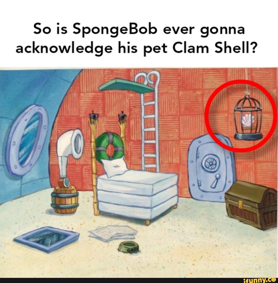 So is SpongeBob ever gonna acknowledge his pet Clam Shell? - iFunny