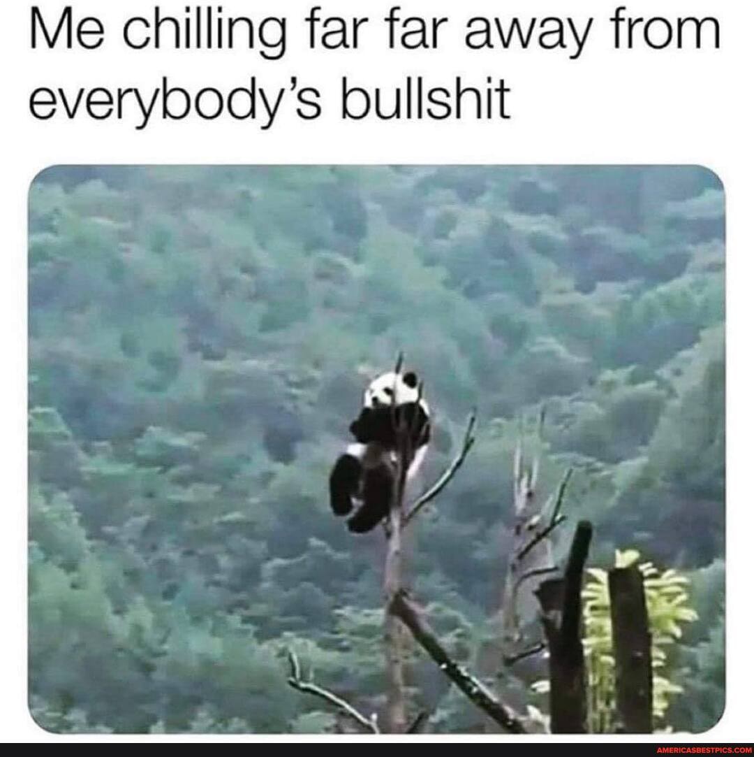 Me chilling far far away from
everybody's bullshit