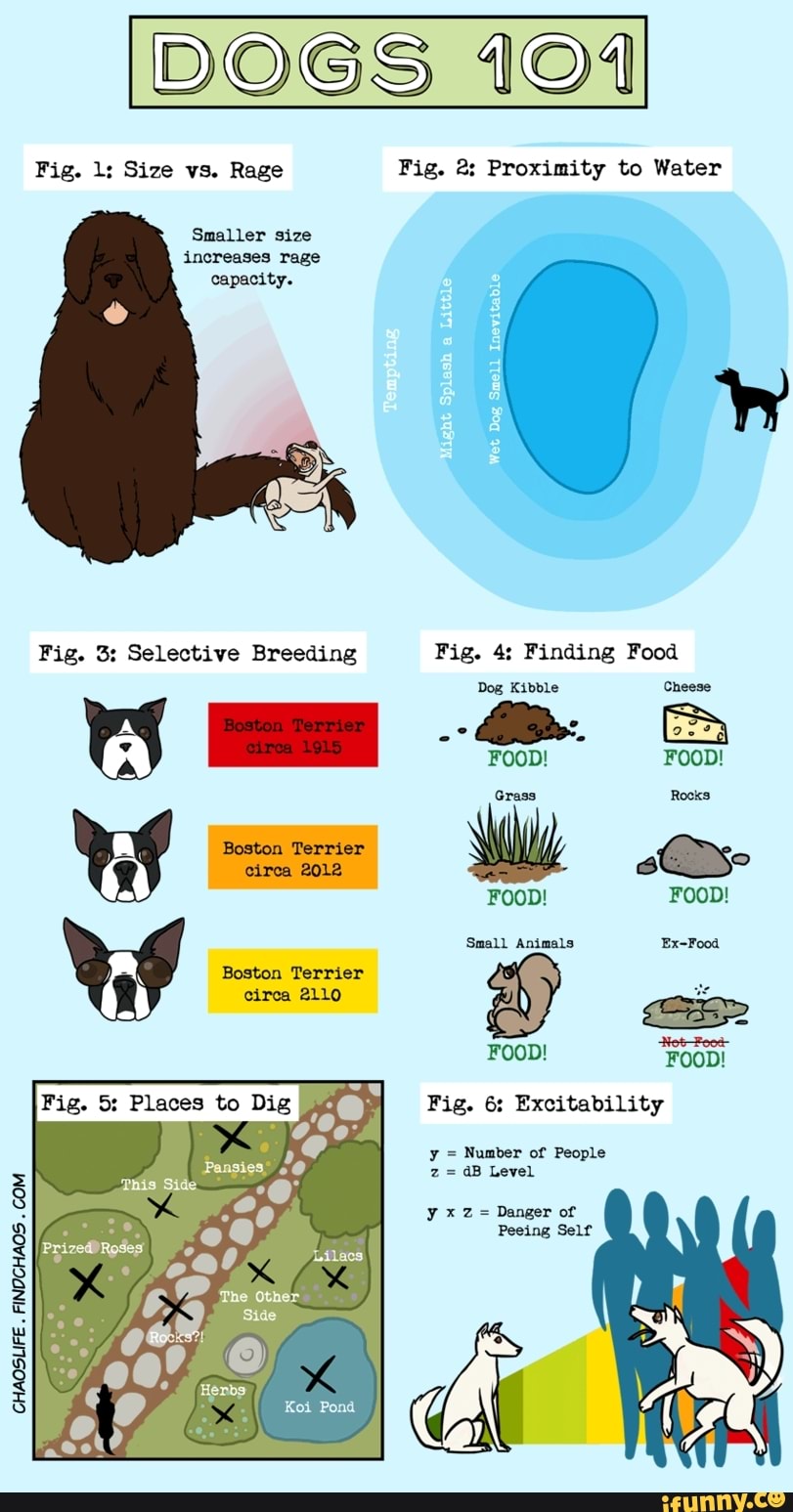 DOGS 101 Fig. lg Size vs. Rage Fig. 2: Proximity to Water Wy Smaller ...