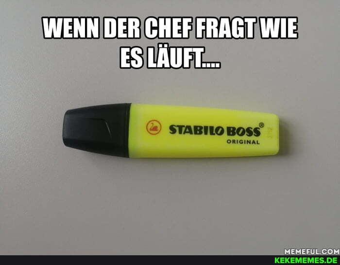 WENN DER CHEF FRAGT WIE ES LAUFT...