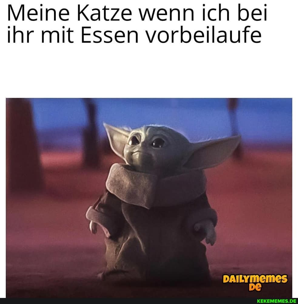 Meine Katze wenn ich bei ihr mit Essen vorbeilaufe
DAILYmemes
De