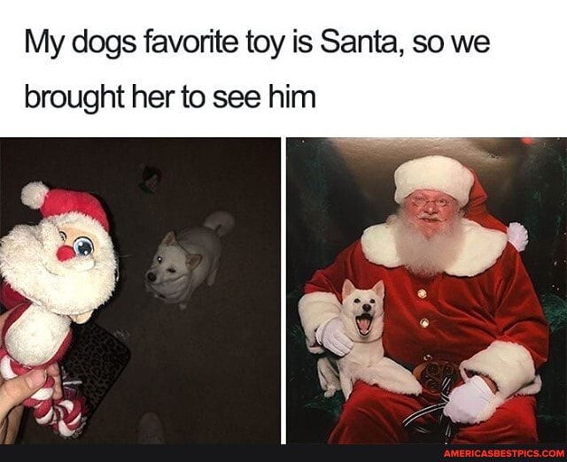 My dogs favorite toy is Santa, so we
brought her to see him