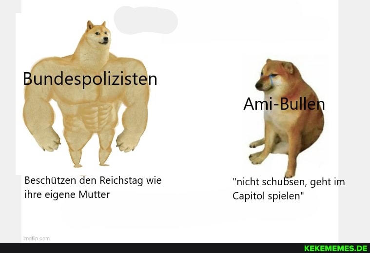Bundespolizisten
Beschützen den Reichstag wie "nicht schubsen, geht im ihre eigene Mutter Capitol spielen"
