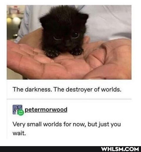 The darkness. The destroyer of worlds.
FR petermorwood
Very small worlds for now, but just you wait.