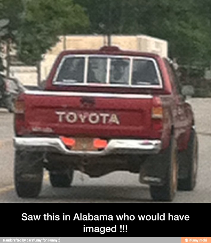 Saw this in Alabama who would have - Saw this in Alabama who would have imaged !!!