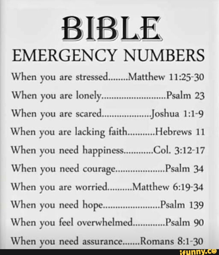 BIBLE EMERGENCY NUMBERS When you are stressed........ Matthew When you ...