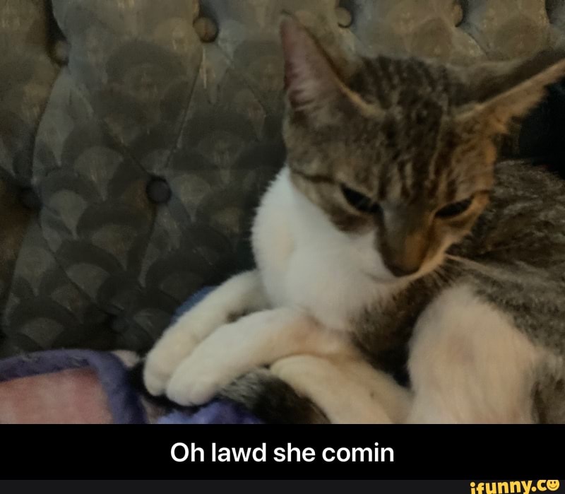 ed
Oh lawd she comin - Oh lawd she comin
