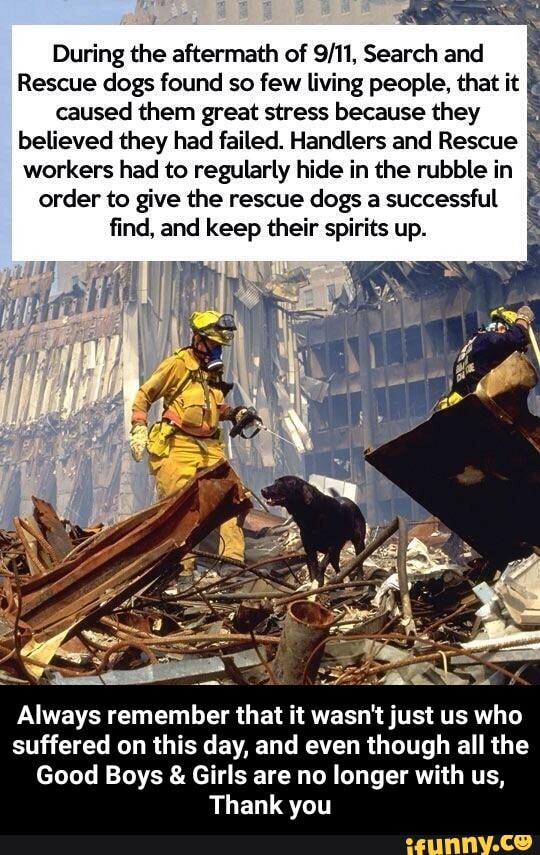 During the aftermath of Search and
Rescue dogs found so few living people, that it caused them great stress because they believed they had failed. Handlers and Rescue workers had to regularly hide in the rubble in order to give the rescue dogs a successful find, and keep their spirits up.
Always remember that it wasn't just us who suffered on this day, and even though all the
Good Boys & Girls are no longer with us,
Thank you - Always remember that it wasn't just us who suffered on this day, and even though all the Good Boys & Girls are no longer with us, Thank you