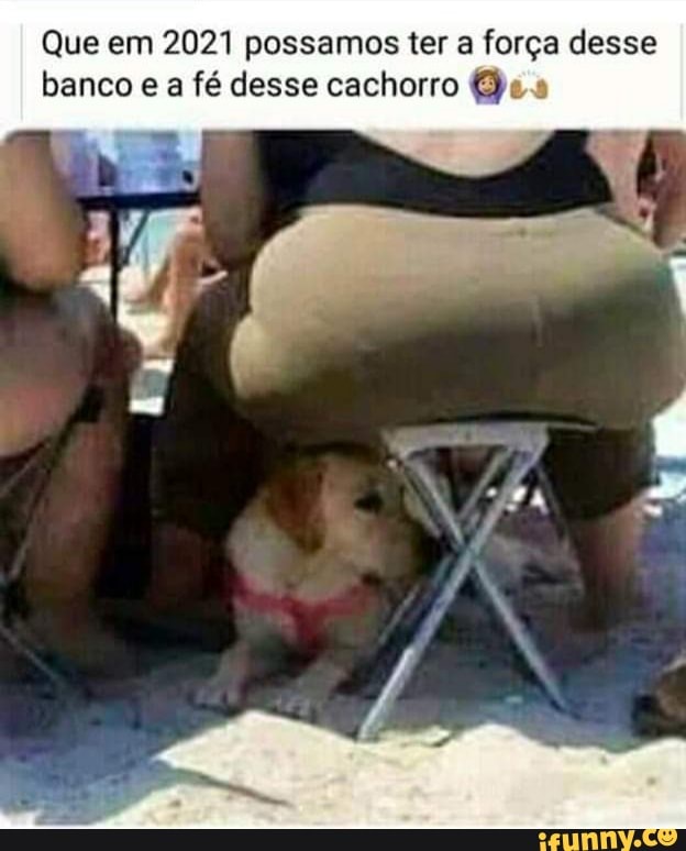 Que em 2021 possamos ter a força desse banco e a fé desse cachorro