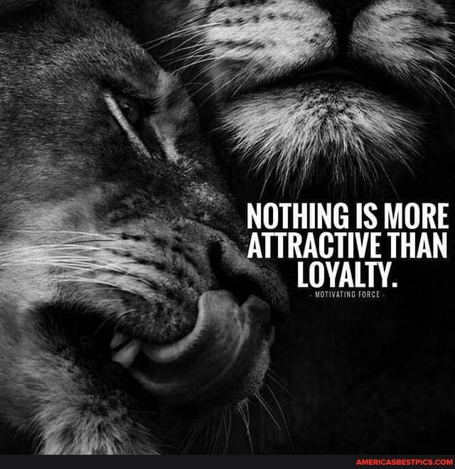 Pin by SQORPIO on Nothing's more attractive than Loyalty