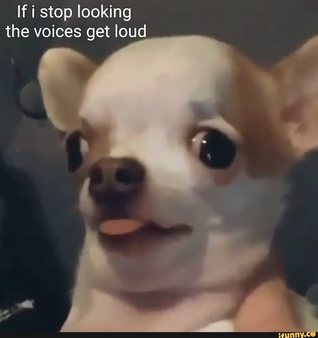 If i stop looking the voices get loud