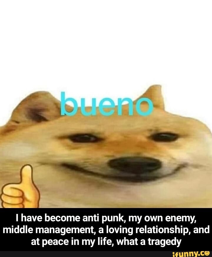 have become anti punk, my own enemy, middle management, a loving relationship, and at peace in my life, what a tragedy - I have become anti punk, my own enemy, middle management, a loving relationship, and at peace in my life, what a tragedy