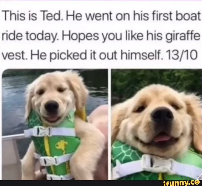 This is Ted. He went on his first boat ride today. Hopes you like his giraffe vest. He picked it out himself.