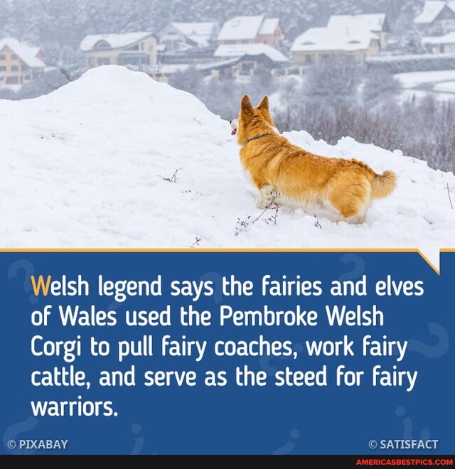 Did you know? brightside fairies