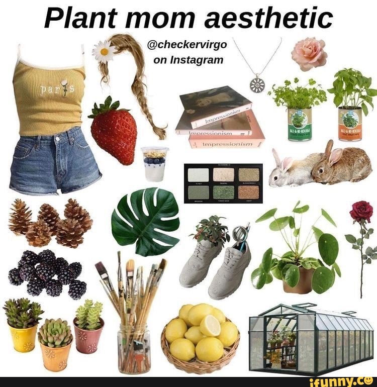 Plant Mom, Aesthetics Wiki