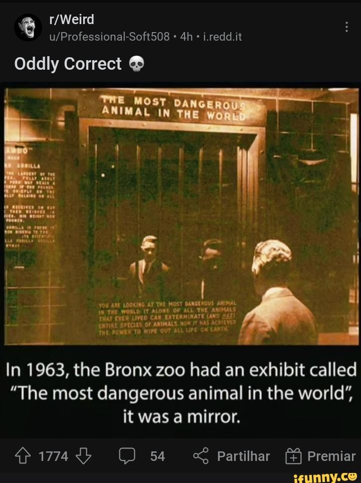 Professional SoftS08 dh  Oddly Correct wa OF In 1963, the Bronx zoo  had an exhibit called 