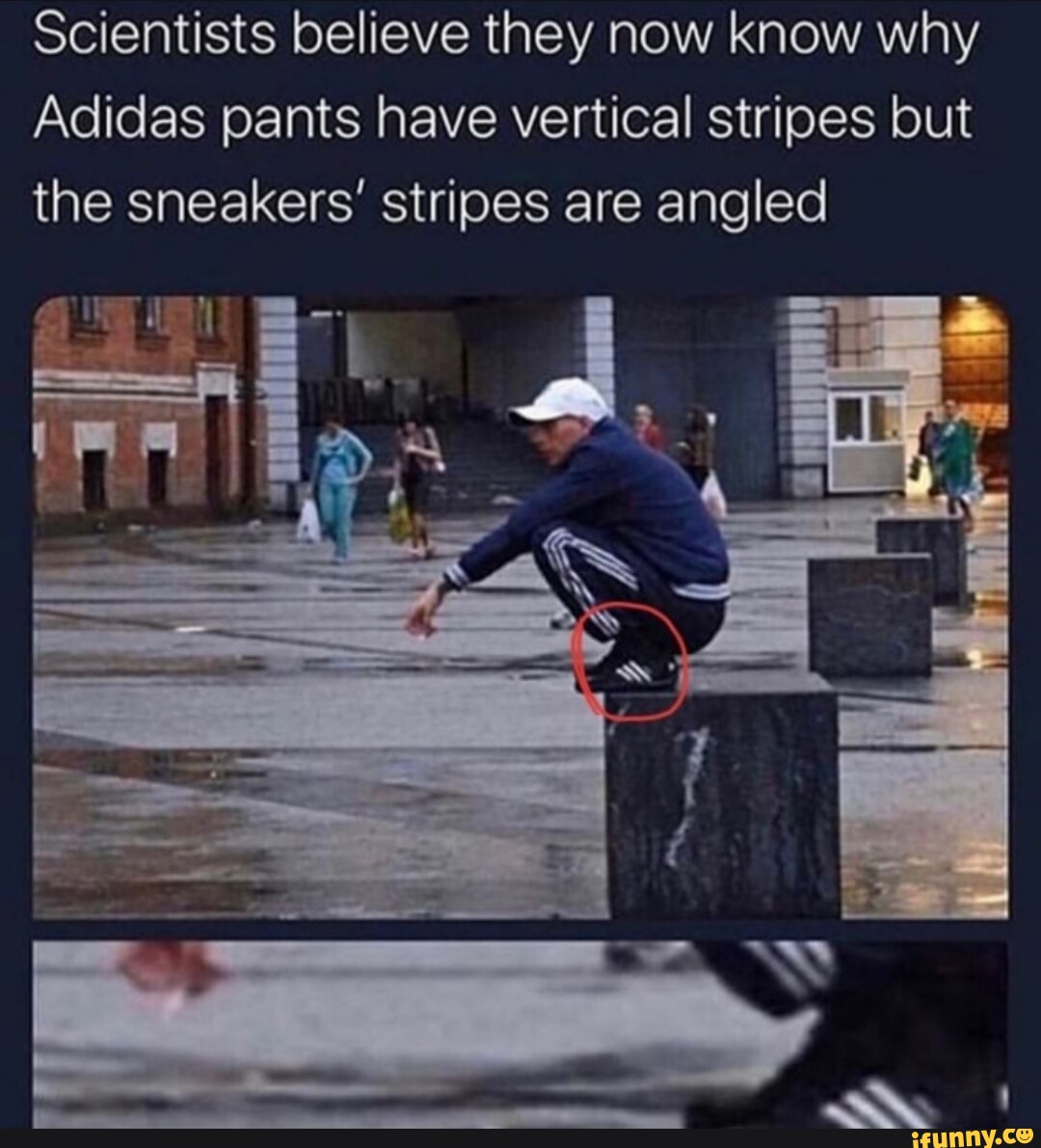 Adidas shop stripes meme