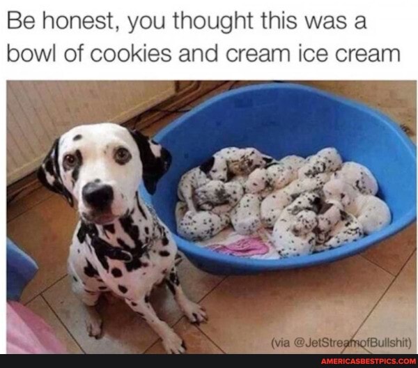 Be honest, you thought this was a bowl of cookies and cream ice cream