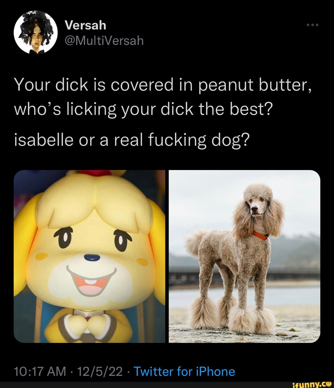 Dog Licking Dick