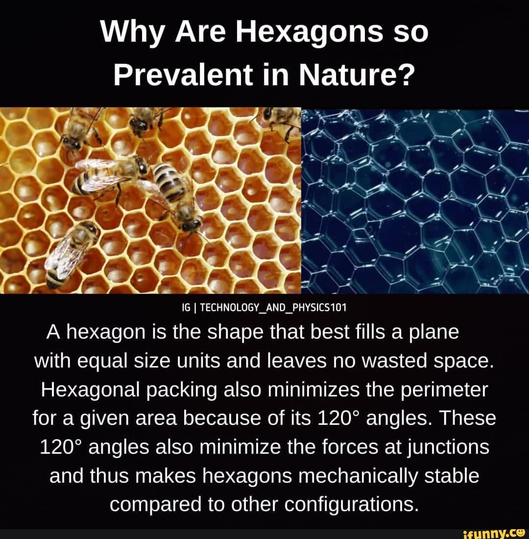Why Are Hexagons so Prevalent in Nature? te IG TECHNOLOGY_AND_ PHYSICS101 A hexagon is the shape